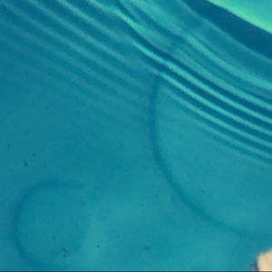 Meet your Posher, Hailey